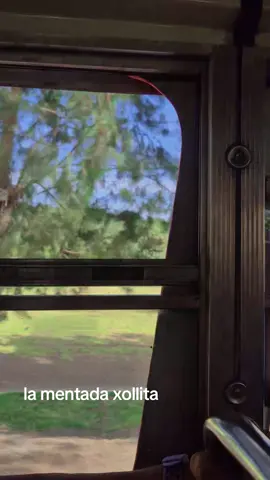 #xollados 🚍