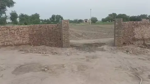 @Nisha Ali Khan #10kviewsplzz🙏🤔 @fazeel gujjar @Shera  Gujjar @Nasir cHOHAN @Tipu Gujjar @Hussain Sukhera ♛ @CH_ASF_GUJJAR💸 @Asadullah Arif Gujjar @sulxmangujjar74 
