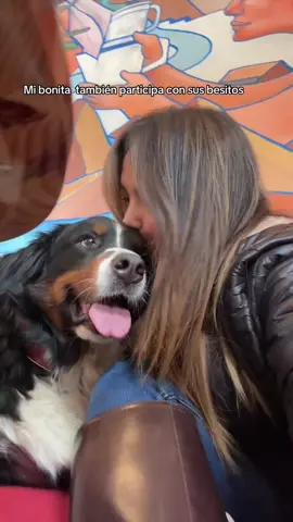 Más besos le puede dar 😍♥️???? #bernesemountaindog #dogsoftiktok 