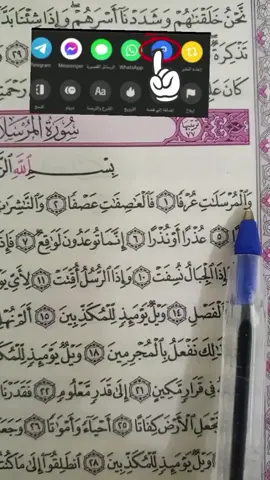 #islamic_video #catsoftiktok 