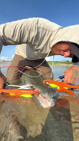 Easy peasy when your the gar dentist #alligatorgar #conservation #texas #catchandrelease #animals #prehistoric #bkk 