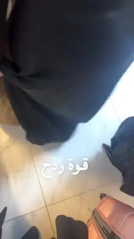 #قوة_ردح_😂