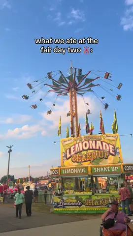 last day for us :( #fairfood #fyp #pulledpork #walkingtaco #tacos #shavedice #snowcone #elephantear #pizza #elephantears #bobatea #candyapple #fairseason #countyfair #foryou #fypシ #fy 