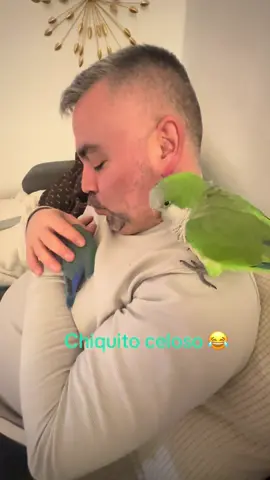 #celoso 