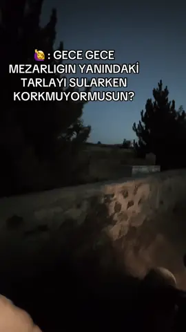 Olurmu hiç hayatım…                   #keşfetteyizzz #keşfet #köy #çiftçi #tarım 