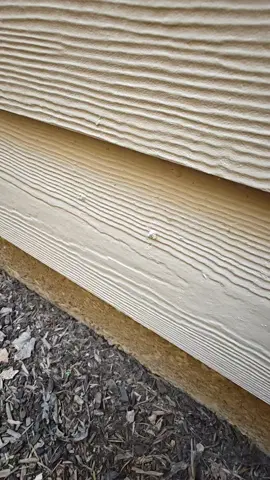new houses are always the best houses TO POOP ON!  #newconstruction #house #inspection #fail #quality #craftsmanship #singalong #painting #dirty #quickndirty #fast #and #underdelivered #ugh #thisnislowincomehousing 