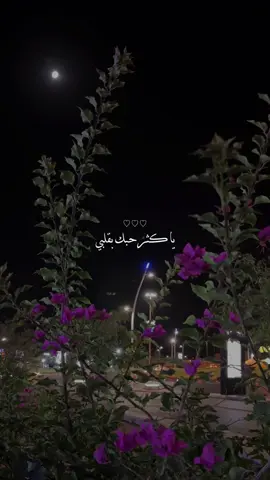 يالملاك اللي اشوفه .. غير عن كل البشر 😔♥️ @