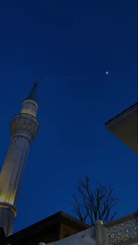 @🌚🤍 #گوهداربـــــــــــە🤍 😔🤍…
