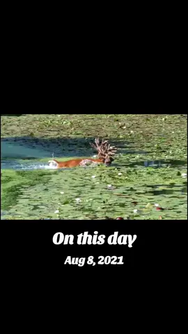 #onthisday