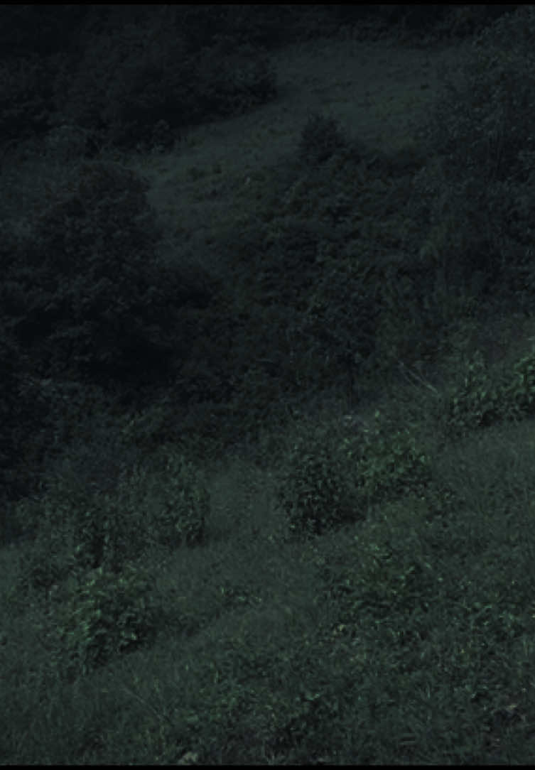 >.<#naturevibes #darktok #digitalcamera #aestheticvideos #vibes #fyp 