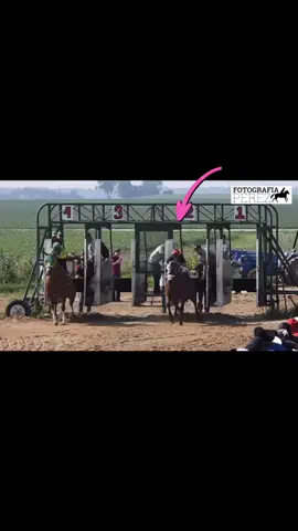 “Qué tienes tanto miedo de perder, si nada en este mundo te pertenece?” No son caballos caros nada más corren  con todo su corazón 🥰 @luisito 