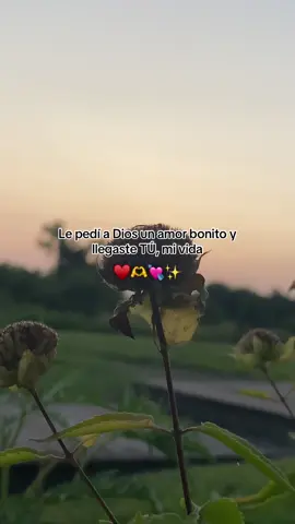 ♥️🥰 #paratiiiiiiiiiiiiiiiiiiiiiiiiiiiiiii #amor #graciasporllegaramivida❤️💏😍 #teamo #parati #dedicalo🥺🙈♥️ 