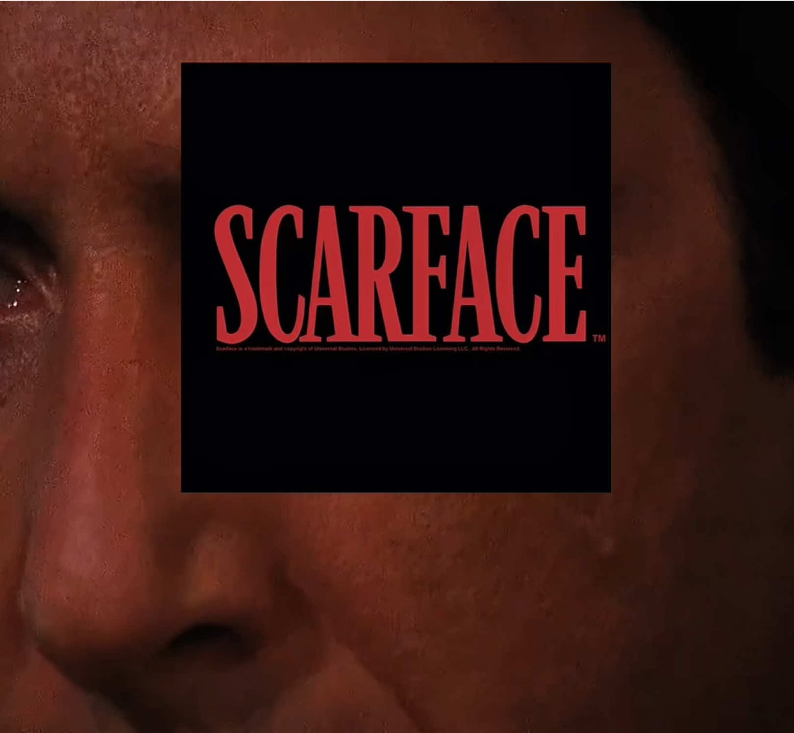 the world is yours… 🌍 #scarface #movie #netflix #1983 #alpacino #tonymontana #tony #montana #tonymontanaedit #edit #capcut #trending #viral #creededit #blowup #thatedit #thatoneedit #thatonecreededit #fyp #foryou #targetaudiencereached #targetaudience #scarfacemovie 