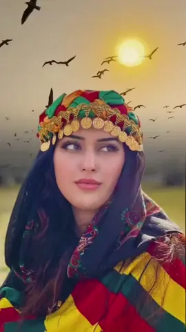 شنكال شيخان دهوك عفرين 