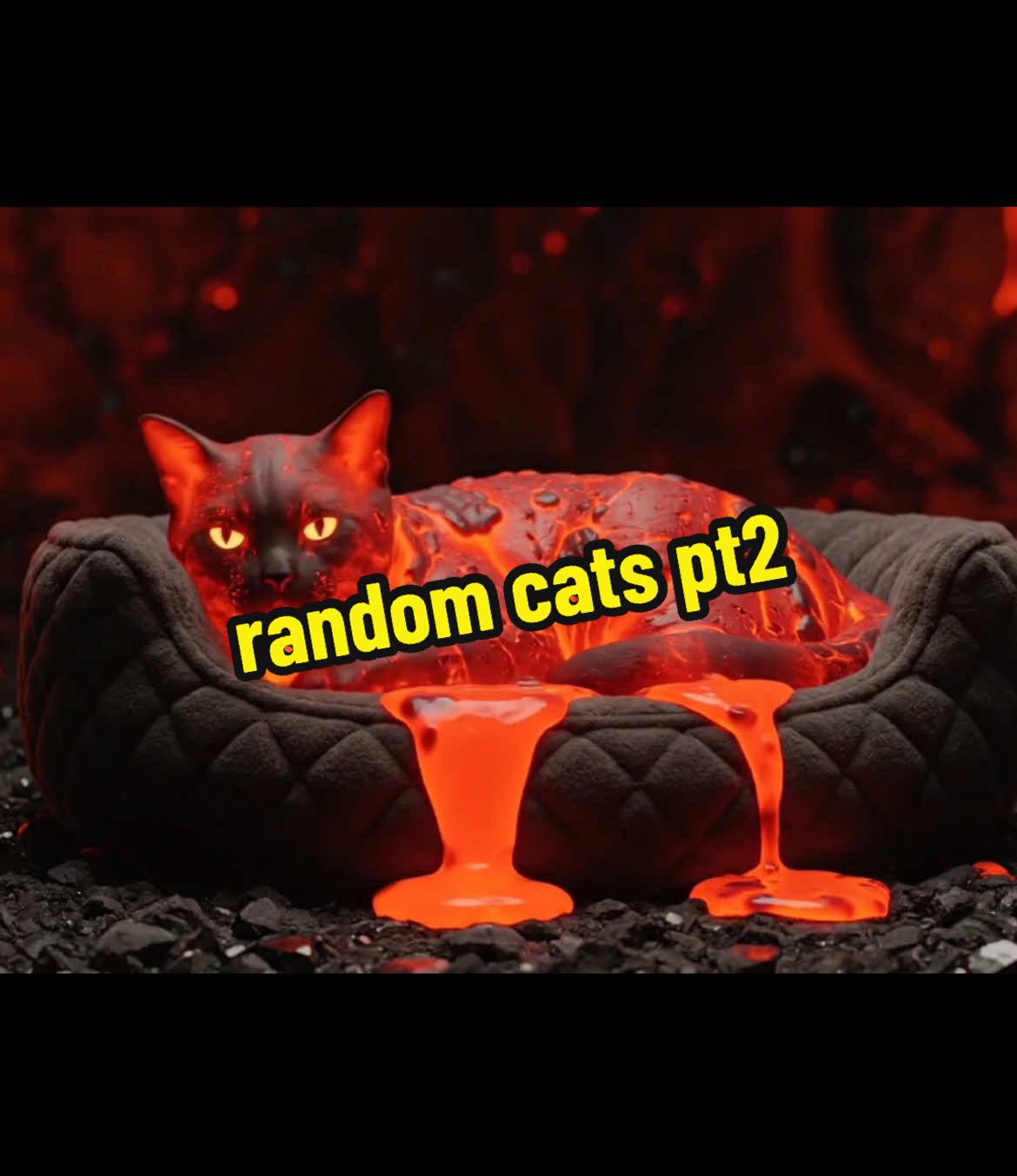 Random cats ASMR #asmr #satisfying #ai #satisfyingsounds #weird 