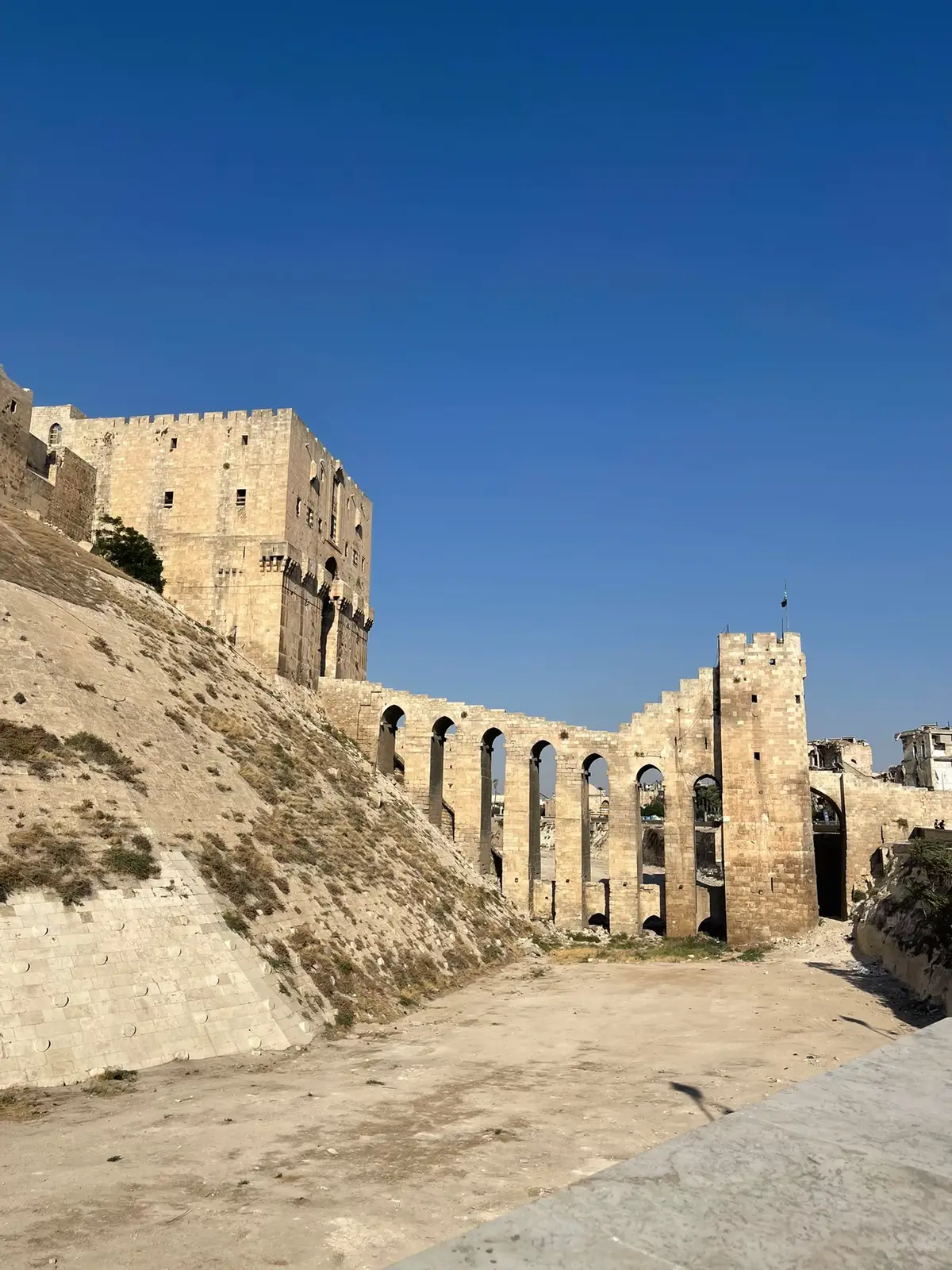 #سوريا  #حلب #بلدي  @#halep 🤍🫶🥹