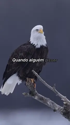 Quando alguém disser se quiser aparecer lá. #motivacion #reflexão #boanoite 