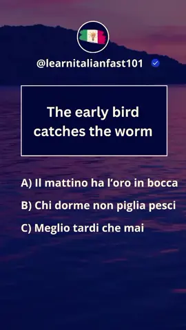#creatorsearchinsights #learnitalian #LanguageLearning, #italian #education #italianlessons #italiano #proverbe #fyp #fouryou #explore #viralvideos #usa_tiktok 
