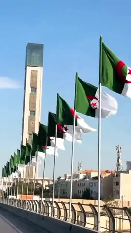 #الجزائر #جزائري🇩🇿 #8اوت #الجزائر 
