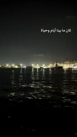 عادي زي اتنين غرب ومتقبلوش ✨ #تامر_عاشور #tamerashourofficial #بدون_موسيقي #انا_مكرهتوش #بورسعيد #portsaid #المعدية #fyp #fypシ #viral #explore #foryou #repost #fyppppppppppppppppppppppp 