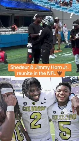 Neither former #Colorado player wanted to let go of the handshake 🤣 #shedeursanders #jimmyhornjr #nfl #cfb #coloradofootball #coloradobuffaloes #browns #panthers #football 