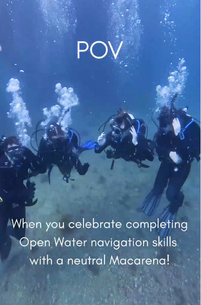 Get Certified!  If you’ve always been fascinated by the ocean, becoming scuba certified is the best way to experience the magic and wonder to be found underwater.   Your journey will be unique to you – a one-size-fits-all approach just doesn’t fit. We offer all levels of PADI recreational certification, beginning with Open Water through 17 specialties and Master Scuba Diver, even the opportunity to go Pro! Together, we’ll create a relationship that fosters your growth as a self-confident, safety-conscious diver, setting and achieving goals, mastering something you never thought you could do in a million years.  All of our courses are private or small groups, tailored to your needs, on your schedule. Adaptive divers are welcome! Our expert local team of PADI Pros has decades of combined experience to offer. Patience, support, understanding and determination are what you need to succeed and anyone ages 12 and up with medical clearance can participate. Give us a call to discuss what you're looking for - families, friends or all by yourself. Scuba diving can change your life - it did for us and we want to share that with you. This is Scuba, by Design. . . . . @PADI @Love Catalina Island  #CatalinaIsland #padi #yougotthis #letsgo #letsgoplaces #tryit #whatif #dreambig #dreambigger #inspire #inspireothers #diversity #equality #inclusion #scubadiving #scubadiver #scuba #diving #dive #diver #adventure #lifeofadventure #ocean #marinelife #kids #family #FamilyFun