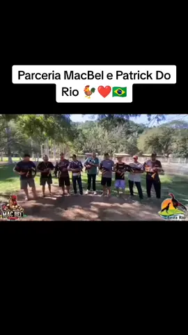Parceria Macbel e Patrick Do Rio Galo Mura 🐓❤️🇧🇷  . . . #fy #galomura #galo #trendingvideo #avicultura #brasil🇧🇷 
