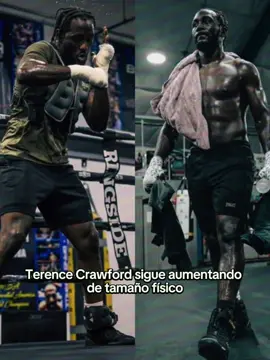 El nuevo Crawford: más grande, más fuerte … y listo para sorprender a Canelo #terencecrawford #canelo #boxing🥊 #boxeo #box 