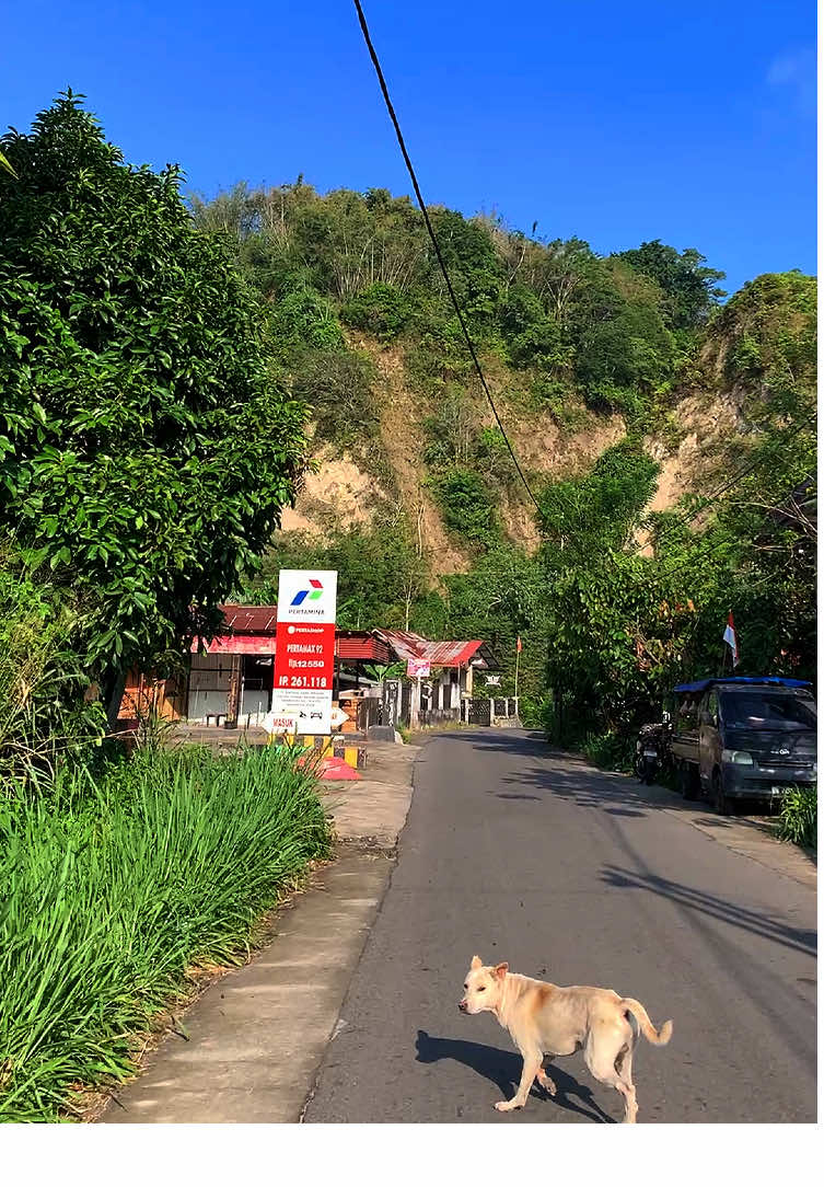 Ampia crash jo wawaw 😅 #vibes #raunsabalik #taragakpulang #taragakkampuang #bukittinggi #laguminang #ngaraisianok 