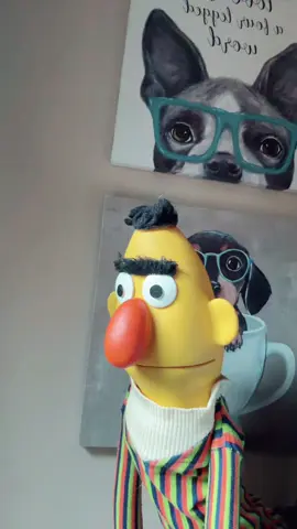 #PuppetsOfTikTok #Bert