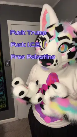 FUCK DONALD J TRUMP. FUCK  UNITED STATES IMMIGRATION AND CUSTOMS ENFORCMENT.  FREE PALESTINE FROM GENOCIDE.  Just so we are 100% clear 😌 #furryfandom #furry #fursuit #fursona 
