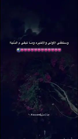 '💗 . #fyppppppppppppppppppppppp  #viral  #اكسبلورexplore  #vedioviral  #وائل_جسار🎶  #رشيد  #foryoupage #حب  #video  #pov 
