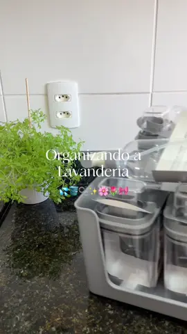 Organizando a lavanderia 💦🪣🫧✨🌸🌷🎀  #donadecasa #rotinadecasa #satisfying #CleanTok #casalimpa #casacheirosa #dicasdecasa #asmr #satisfatorio #rotina #asmrcleaning #cleaning #organizandolavanderia #lavanderia #laundry 