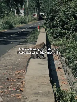 Berusahalah Sekuat Mungkin  karena tidak Ada usaha yang mengkhianati hasil  #fypシ゚viral #Usaha#Follow #katakata#fypシ゚viral 