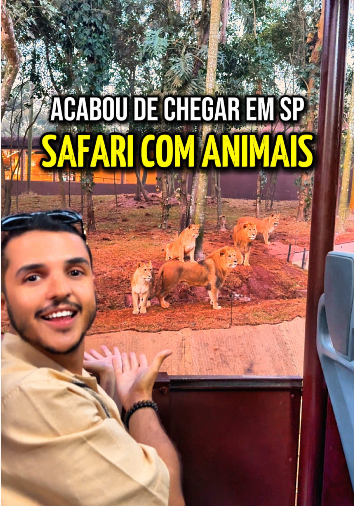 SAFARI EM SÃO PAULO - SIMBA SAFÁRI VOLTOU 🐆🦁 Depois de 20 anos, o Simba Safári está de volta, agora a bordo de caminhões, igual nos safáris africanos! 😍 Em um trajeto de 30 minutos, você vai ver de pertinho espécies do mundo todo, como girafas, leões, zebras, hipopótamos, onças, dromedários, e muito mais!! 🦒 🗓️ Funciona todos os dias ➡️ Último embarque às 17h ‼️ Todas informações e ingress0s no @simbasafarisp 🎟️ Inteira  R$ 89,90 (antecipado) R$ 119,90 (bilheteria)  🎟️ Meia-entrada - R$ 59,90  👧🏼 Crianças de até 3 anos e 11 meses não pagam.  *Valores na data deste vídeo, sujeitos a alterações. JÁ MARCA QUEM VAI TE LEVAR 👇 🚘 Estacionamento - R$ 40 por 2 horas 📍 Avenida do Cursino, 6338 - Vila Moraes #safari #turismosp #dicassp #oquefazeremsp #zoologico #zoologicosp #guiapaulistinha 