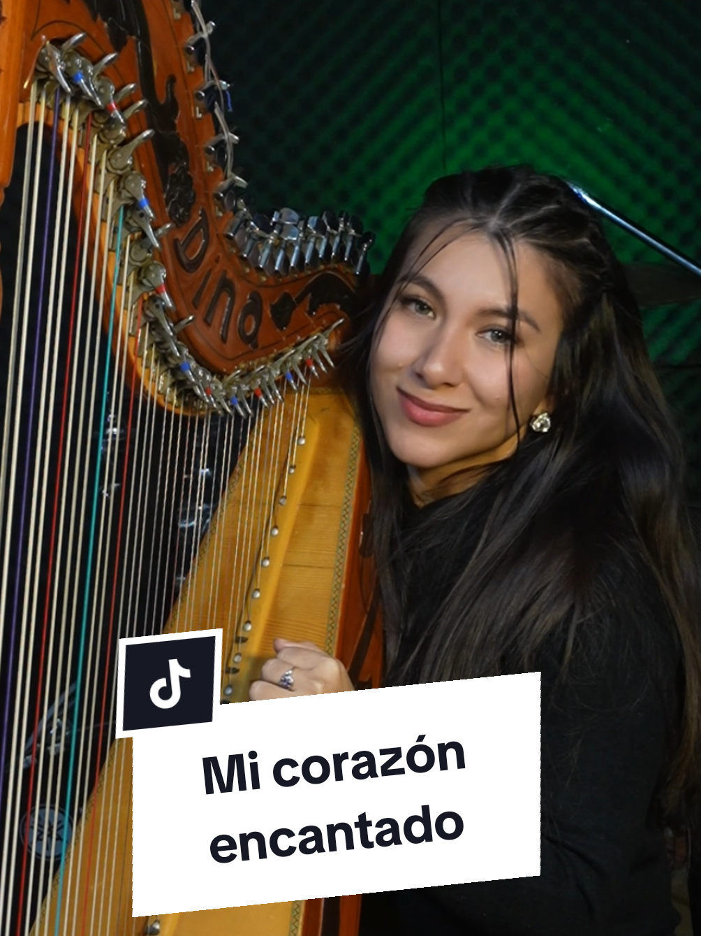 Respuesta a @sebastian.barri Mi corazón encantado (Dragon Ball) ✨️♥️ #micorazonencantado #dragonball #dragonball #MusicOnStage #goku #musiciansoftiktok #musicosentiktok #clasicos #classics #arpa #arpaparaguaya #harp #harpist 