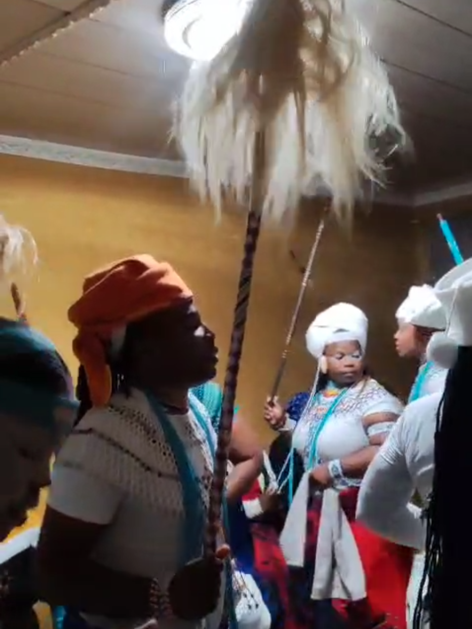 IINKONJANE ZOOFAKU - AMABANDLA  #africa #iinkonjanezoofaku #amaweleoofaku