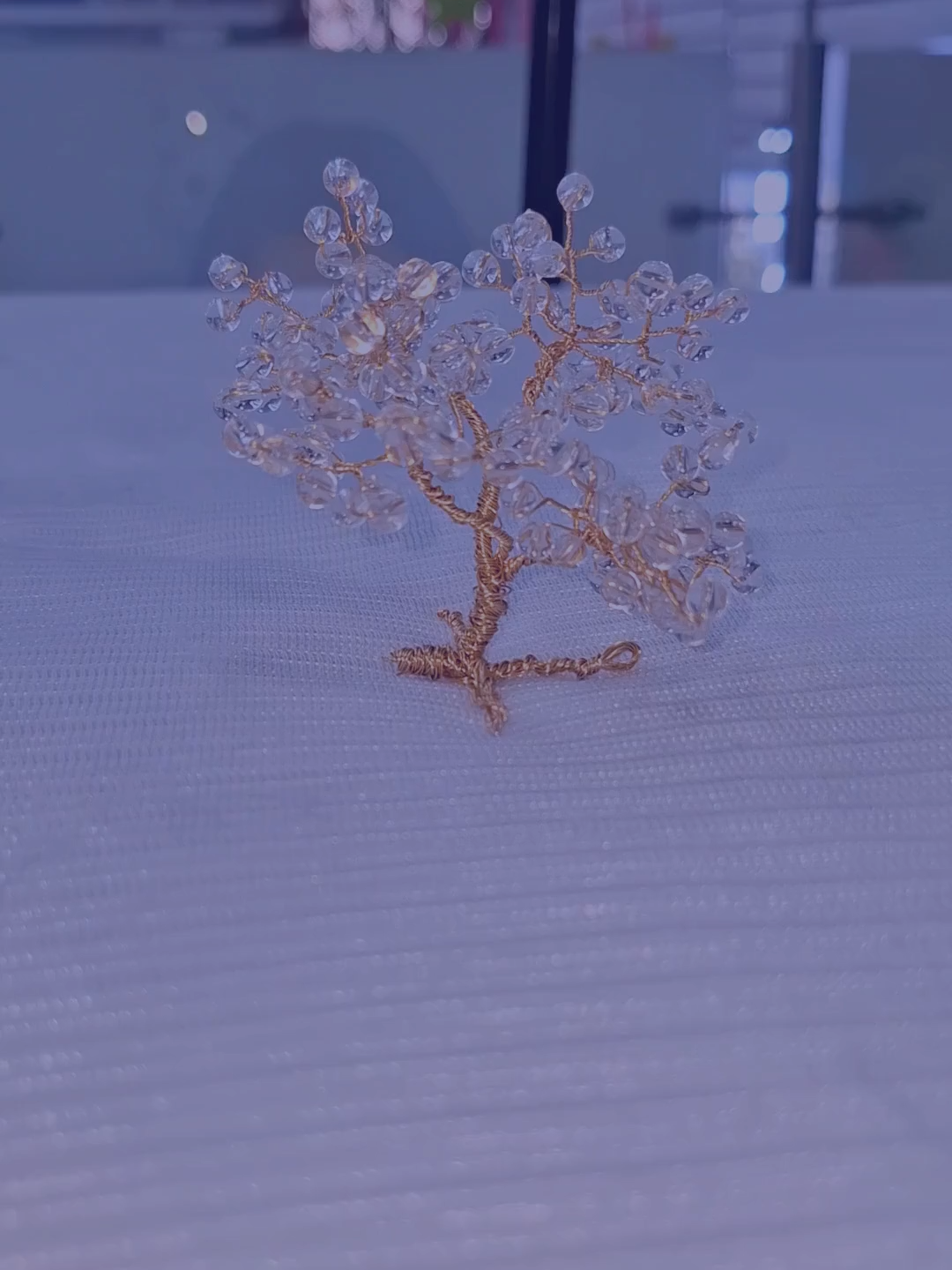 Y así queda nuestro bonsái 😍🌿 ¿Te animas a hacerlo? #milvariedades #paratii #fyp #medellin #tutorial #bonsai
