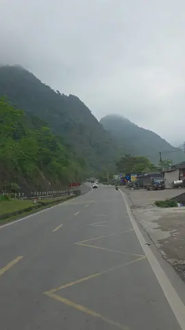 49 nhìn người