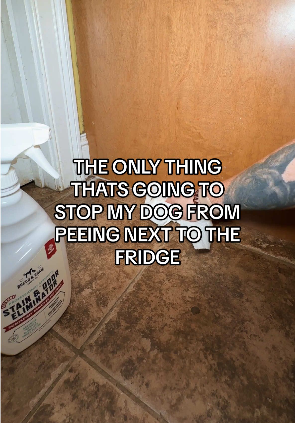 If your dog keeps peeing in the same spot no matter how many times you clean it, you need the Rocco & Roxie Professional Strength Stain & Odor Eliminator!!! This enzyme cleaner completely removes pet urine, stains, and odors from carpets, tile, hardwood, furniture, and more. Safe for pets and kids, works for dog pee, cat pee, and even old accidents you thought would never come out. I use it on the corner of my fridge where my male dogs mark constantly and it’s the only pet stain remover that actually works! #odoreliminator #odorremoval #housecleaningtips #notaesthetic #dogurine @Rocco & Roxie Supply Co. 