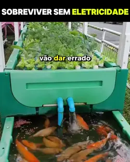 Se a energia acabar, você saberia o que fazer? Descubra agora as estratégias essenciais para sobreviver!