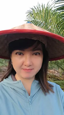 hari ini kita panen perdana di umur sawit 27 bulan #kebunsawit #petanimuda #petanisawit 