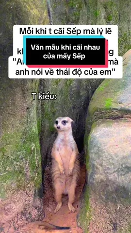 Thái độ của em sao hả anh #GreenCreator #VinWonders #WonderSummer2025 #dulich #safari #animals #animal 