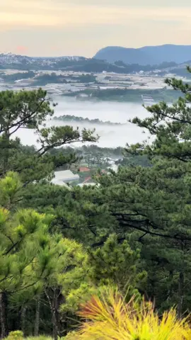 Mây Đà Lạt đẹp như một bức tranh ☁️☁️☁️  #dalat #sanmaydalat #doidaphu #canhdep #fyp 