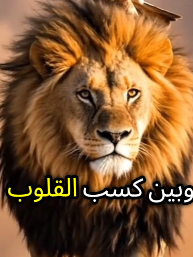 #مليون_مشاهدة❤ #عباراتكم_الفخمه #خواطر_للعقول_الراقية #اقتباسات #كلام_من_ذهب 