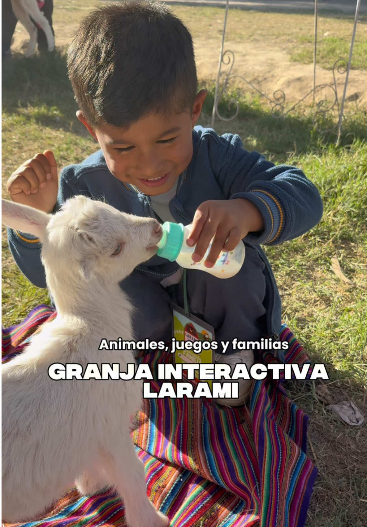 Granja Interactiva Larami en el km 14.5 de Calana 🐷🐔🐴🐮 sus niños la pasarán increíble!  @GRANJA.TACNA/CALANA/PERÚ  #fyp #tacna #tacna_peru🇵🇪 #arica #granjainteractiva #animales #animalesdegranja 