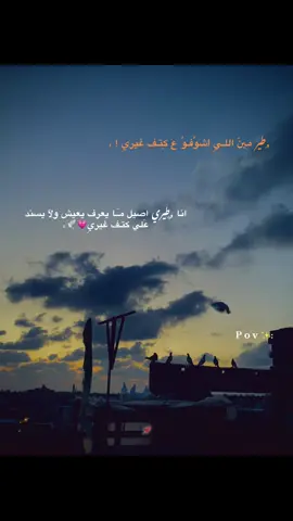 #💗🕊️  #fyppppppppppppppppppppppp  #vvvvvvvvvvvvvvvvvvvv  #tiktok  #رشيد  #حمام_زاجل  #viral  #اكسبلورexplore 