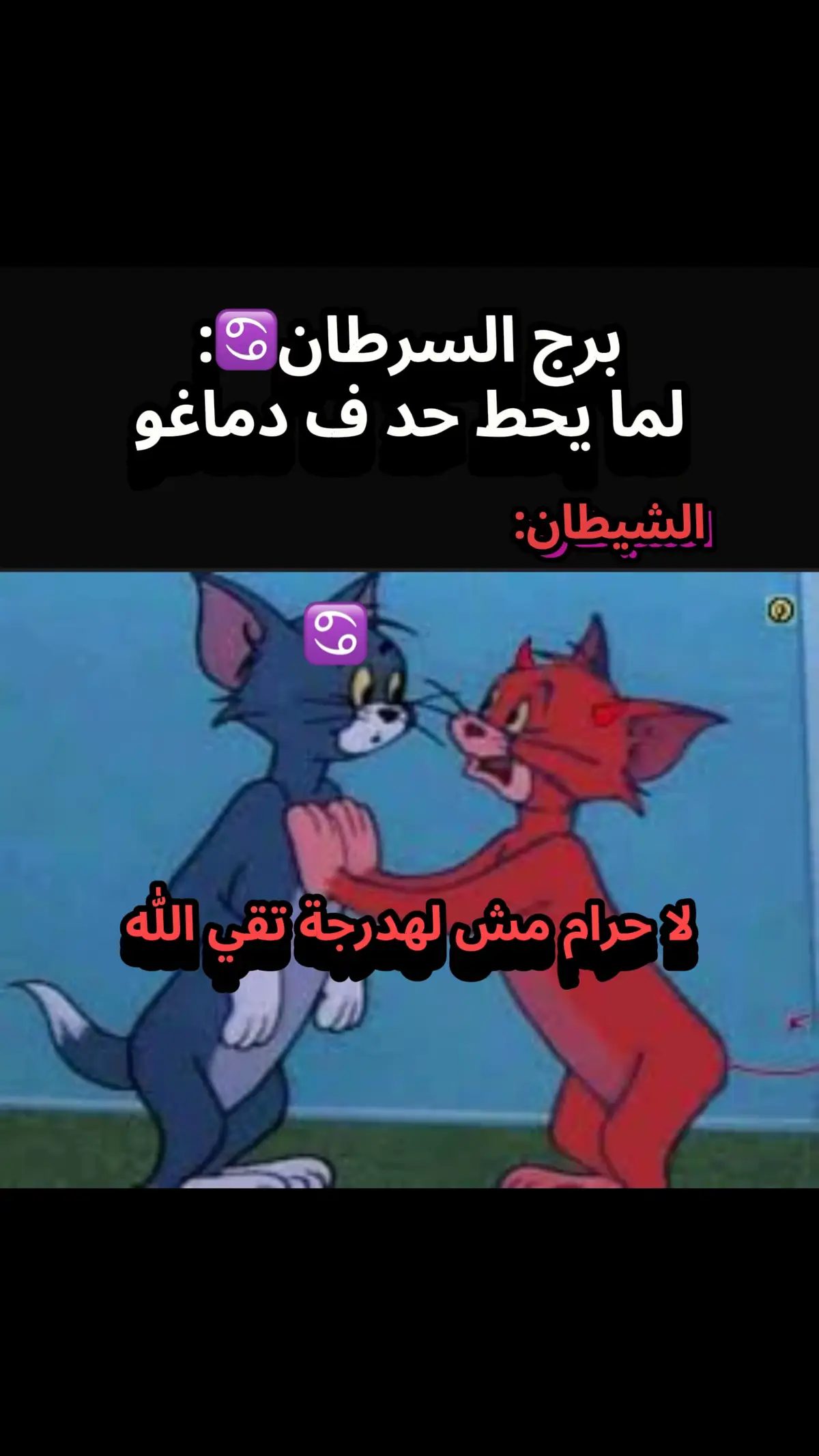 #♈️♉️♊️♏️♓️♐️♋️ #ابراج_فلكيه 