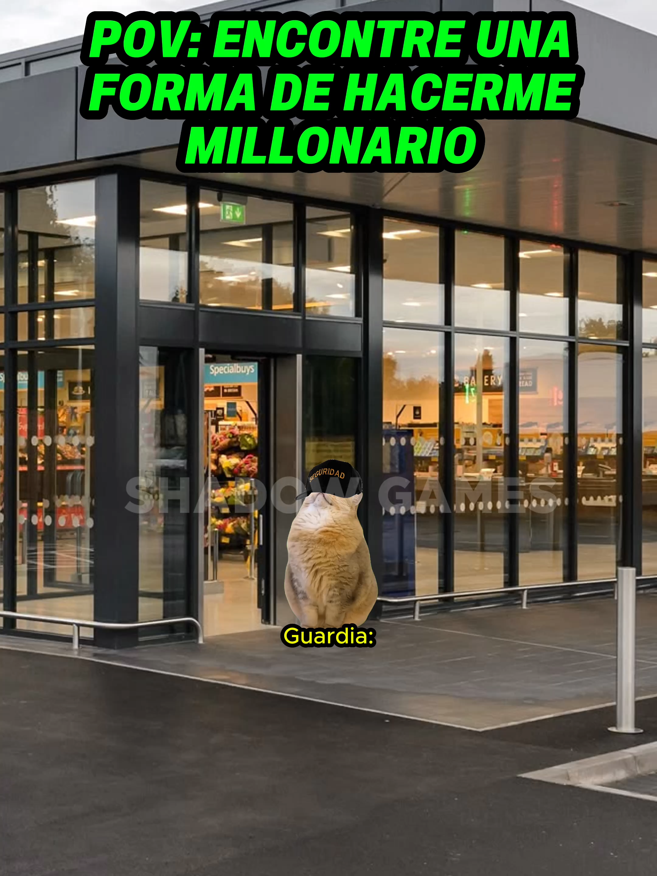 Por fin sere millonario #gatitoslindos #storytime