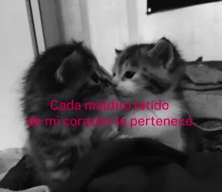 #CapCut Vídeo para dedicar. #amor #pareja #videoparadedicar #dedicar #amor #enamorado 